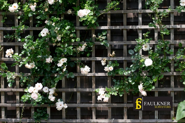 Can I put trellis on my Neighbours garage wall? 2 Do you want to adapt your neighbours garage door and add a trellis Stevenage? Talk to Faulkner Surveyor Stevenage